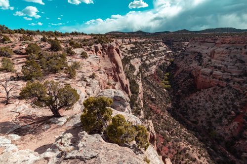 Free Stunning view of a canyon in Fruita, CO showcasing rugged cliffs and desert landscape. Stock Photo