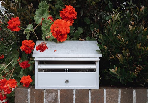 A Mailbox Below Red Hibiscus Flowers on a Brick Wall