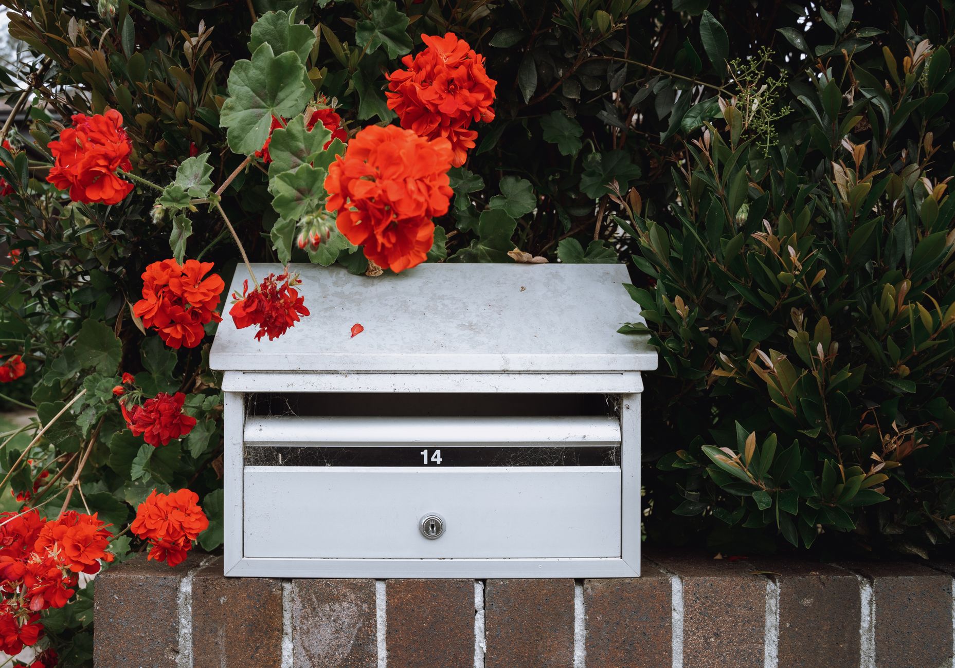 A white letterbox on a brick wall in an Australian suburb.