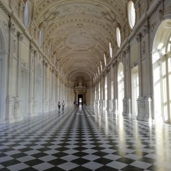 Explore the grandeur of a Baroque palace corridor with intricate architecture and symmetrical design.（イメージ）