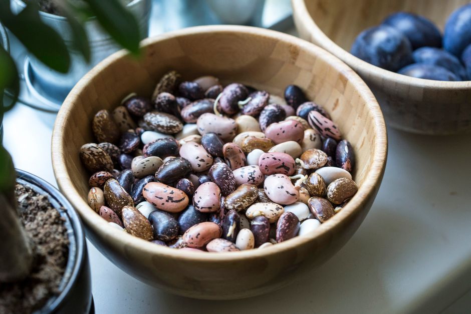 Dietary Adjustments for Older Vegetarians: Preventing Muscle Loss
