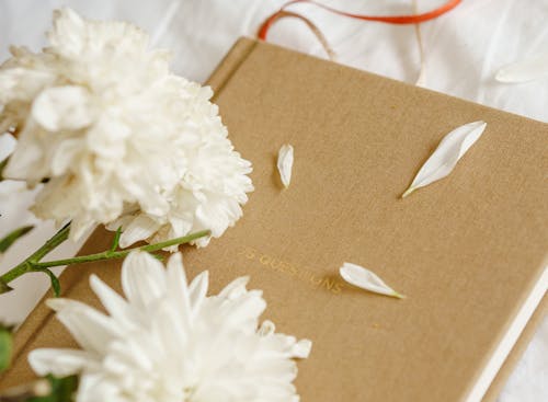 High angle of white flowers with delicate petals on notepad in cozy room