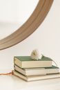 Chrysanthemum on pile of books on table