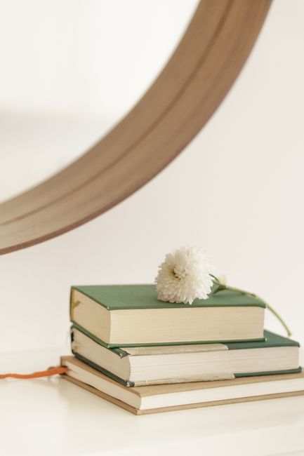 White flower with gentle petals and thin stem on heap of textbooks on smooth surface