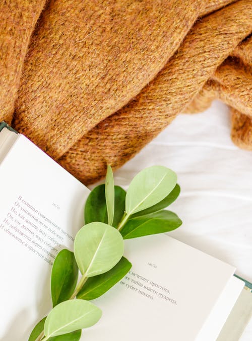 Открытая книга с зеленым стеблем растения возле мягкой ткани