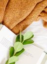 From above of textbook with plant sprig with round shaped leaves near knitted textile