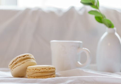 Delicious macaroons near mug and vase with green plant