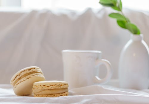 Heerlijke Bitterkoekjes Dichtbij Mok En Vaas Met Groene Installatie