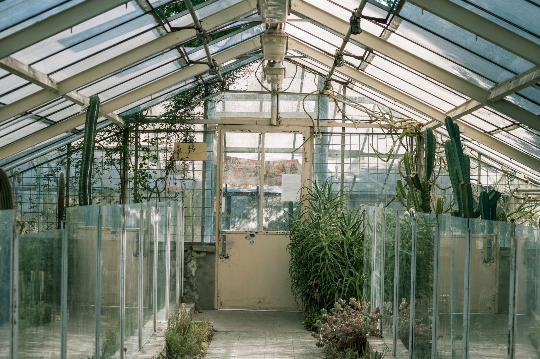 garden reflective panel placement diagram