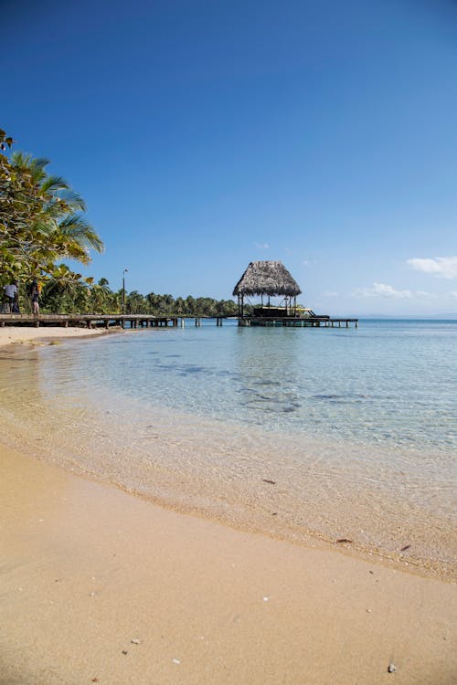 Tropical sandy coast with palms and straw bungalow