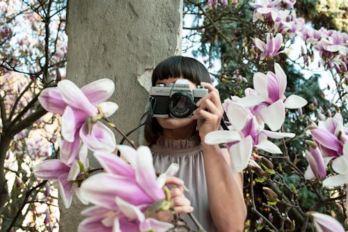 Unrecognizable female in summer dress taking photos on old fashioned photo camera in lush garden near blooming magnolia flower