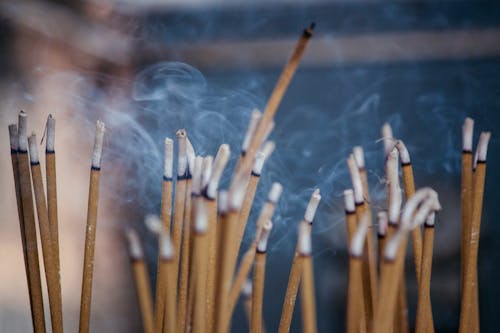 Free Various types of smoldering aroma sticks with smoke on stand in cozy apartment Stock Photo
