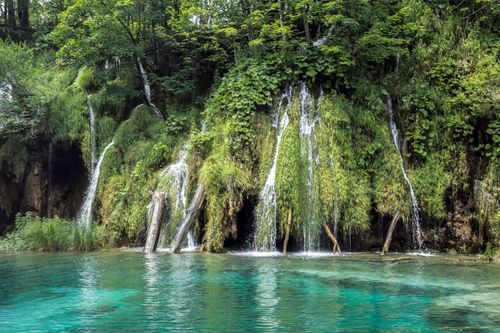Free Picturesque landscape of rippling azure river under transparent waterfalls in forest with exotic vegetation Stock Photo