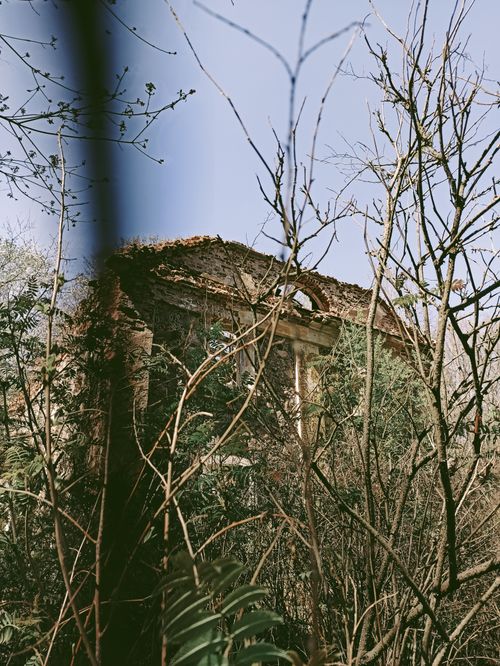 Free An abandoned building in Belarus hidden behind dense branches and foliage. Stock Photo