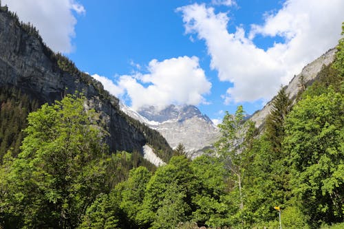 A Mountain Landscape