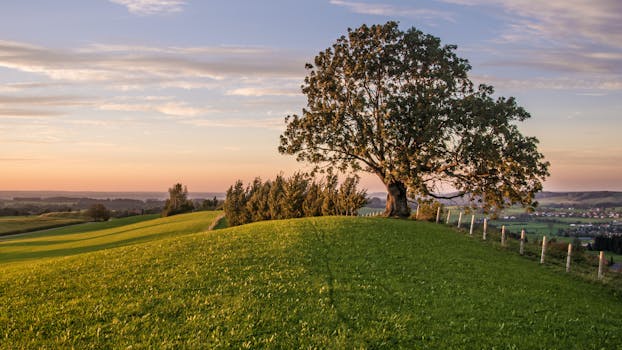 A tranquil countryside landscape with a solitary tree at sunset, under a vivid sky.