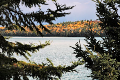 Autumnal Landscape of a Lake and Colorful Trees