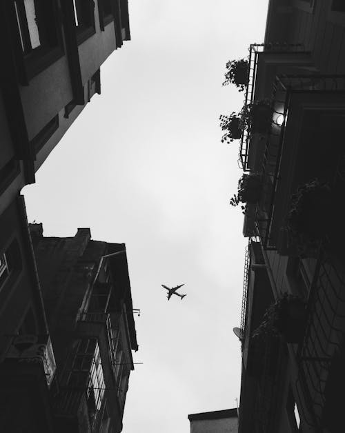 Airplane Seen between Residential Buildings