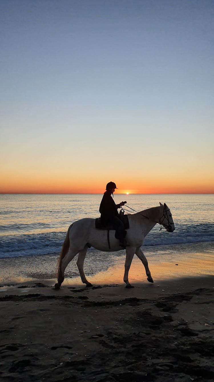 Person Horseback Riding On A Beach At Sunset 