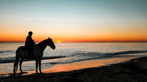 Person Horseback Riding by Sea at Sunset