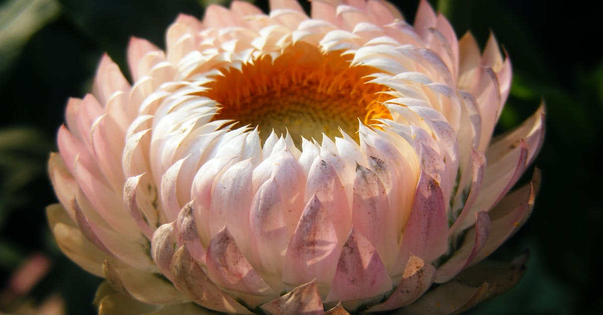 噴嚏、鼻水止不住?花粉症3大方法輕鬆控制,改善你的生活品質!