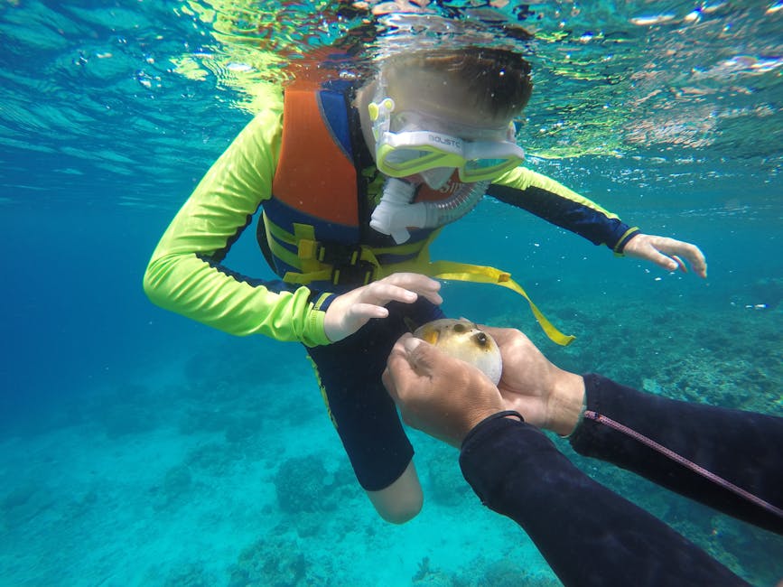 Family Snorkeling in Los Cabos - Family friendly Cabo Family Snorkeling in Los Cabos - Family friendly Cabo