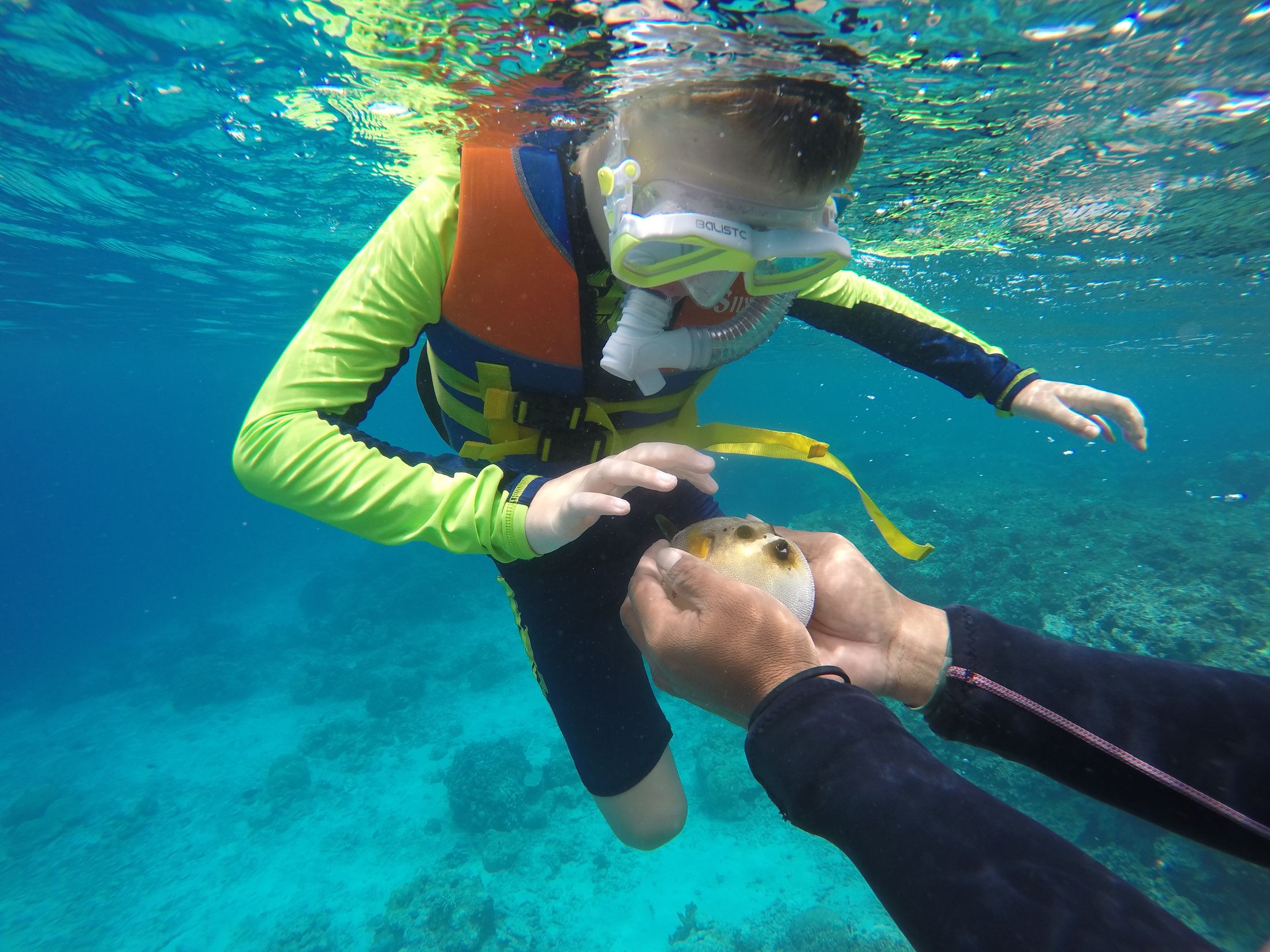 Snorkeler exploring clear blue water