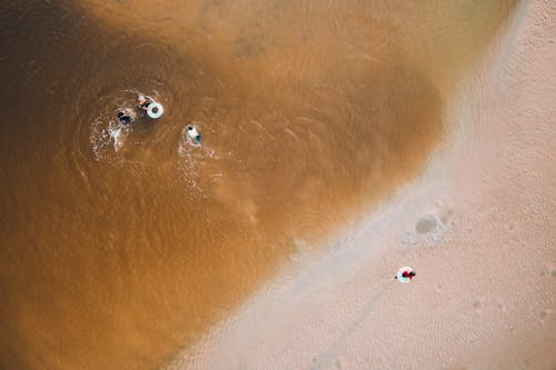 Aerial view of unrecognizable tourists with lifesavers swimming in waving ocean near sandy coast during summer holidays