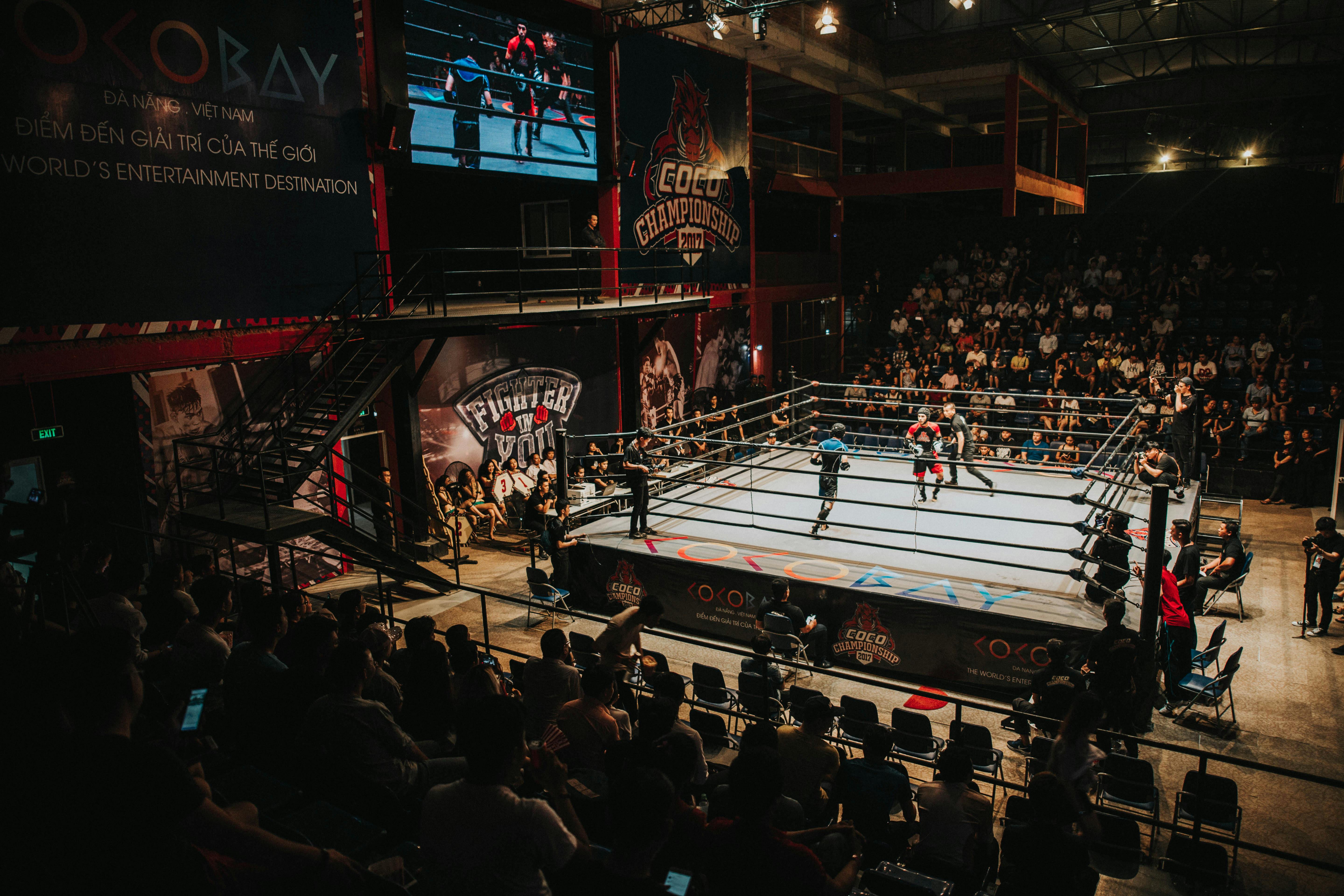 Free stock photo from Coco · Pexels