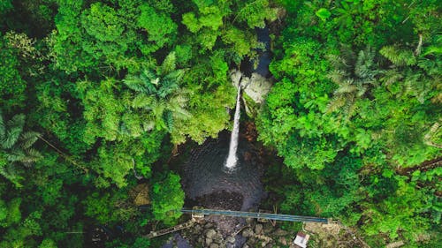 Drone Shot of a Waterfall 