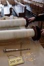 Person Holding Brown and White Wooden Tube