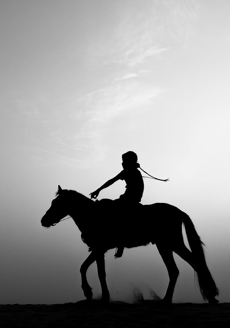 Silhouette Of Man Riding A Horse