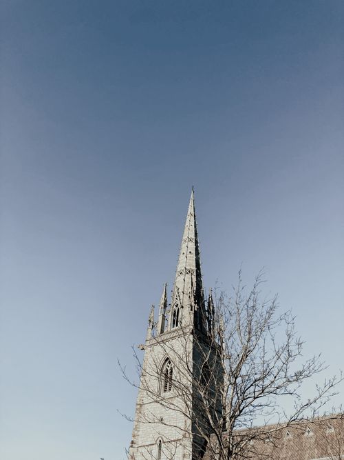 Free Exterior of tall historic church spire located under clear blue sky near leafless tree on autumn day Stock Photo