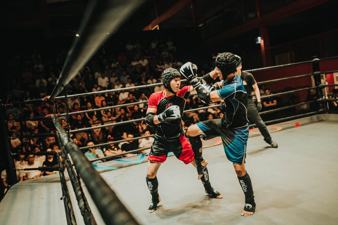 Blue and Red Kick Boxing in Ring · Free Stock Photo