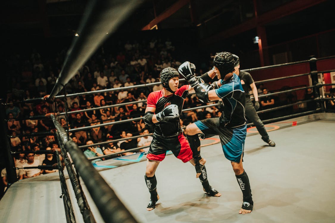 Free Blue and Red Kick Boxing in Ring Stock Photo