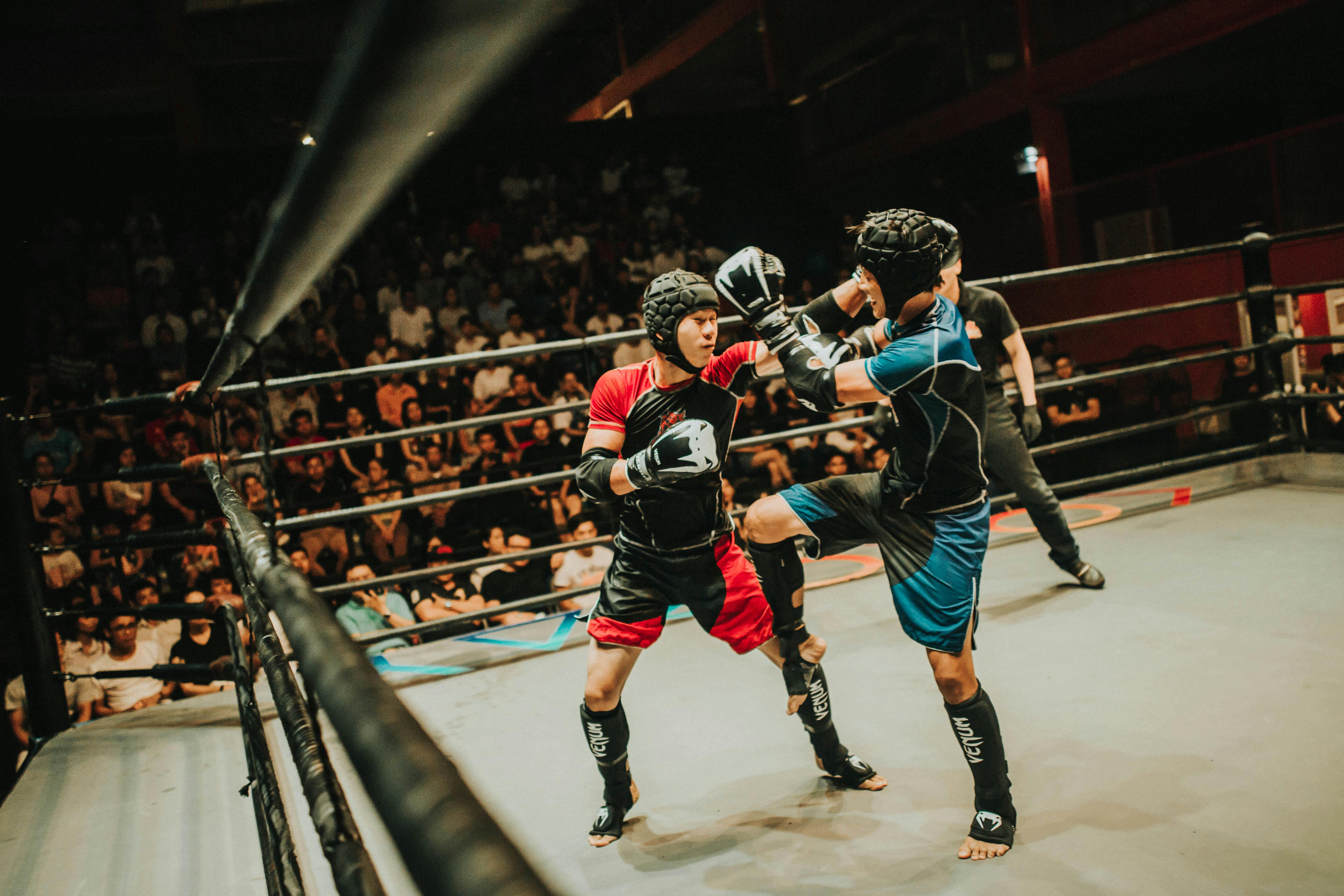 Free stock photo of academia de gin\u00e1stica, artes marciais ...