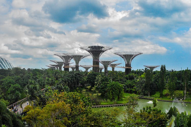 Supertrees In Gardens By The Bay 