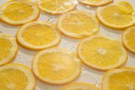 Closeup background of fresh juicy orange slices arranged on white surface with clear ice