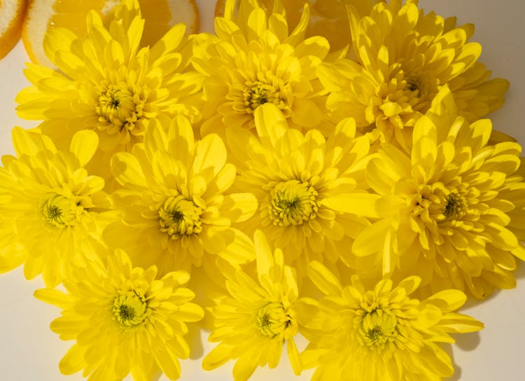 Bouquet Of Vibrant Yellow Flowers