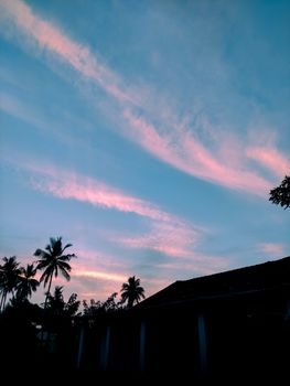 Vibrant sunset with palm tree silhouettes against a dramatic sky, creating a serene atmosphere.