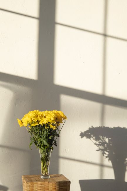Glass vase with bright yellow flowers throwing shadow on white wall in bright sunlight