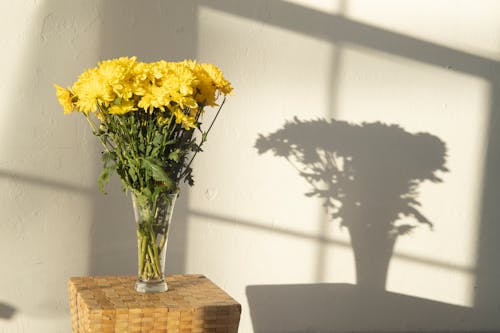 Sekelompok Bunga Kuning Di Bawah Sinar Matahari