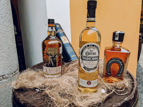 Základová fotografie zdarma na téma alkohol, bourbon, lahve