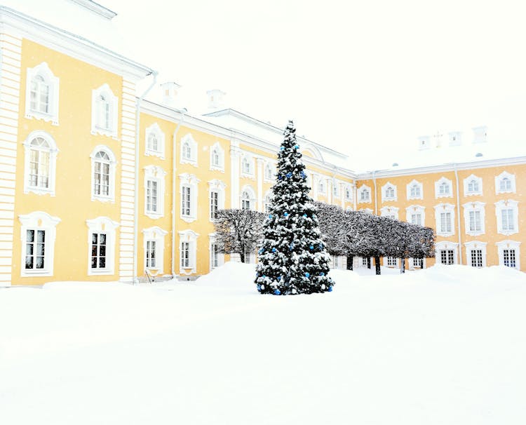 Christmas Tree On The Snow Outside A Building