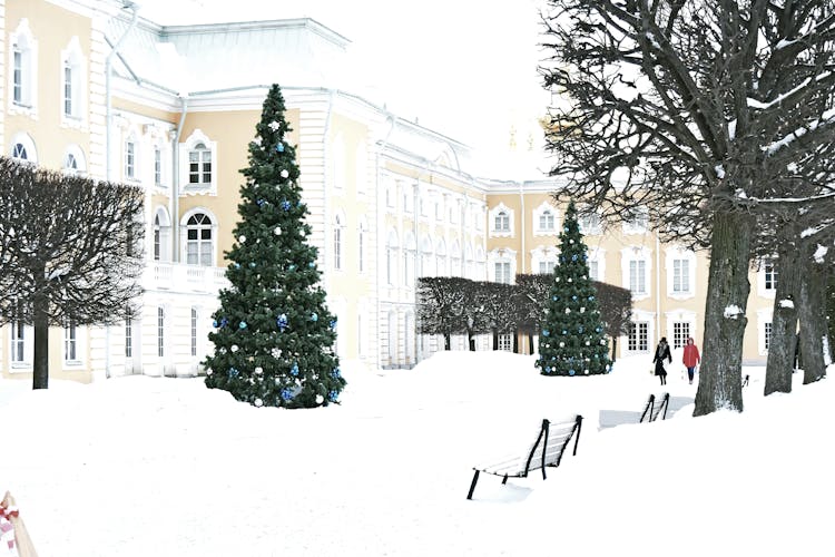 Christmas Trees In The Snow Outside A Building