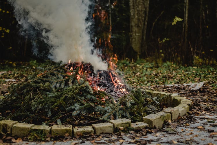 Burning Leaves On A Fire Pit