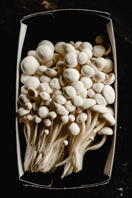 Enoki mushrooms in a packaging box