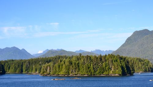 Free Tranquil view of a forested island surrounded by serene waters and distant mountains in British Columbia. Stock Photo