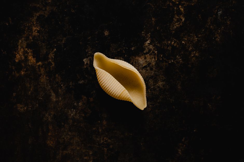 Fotomural Una sola concha de pasta conchiglie descansando sobre una superficie negra texturizada, vista desde arriba.