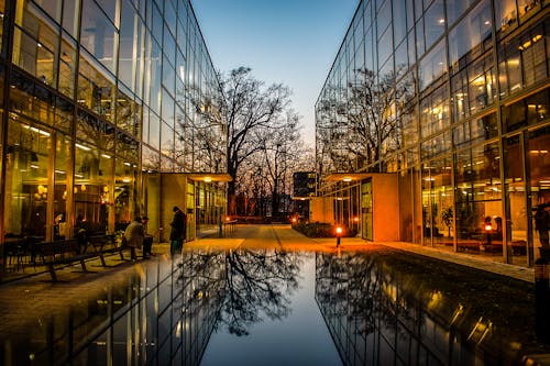 Immagine gratuita di alberi, architettura, cielo al crepuscolo